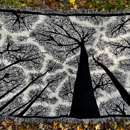 Seth Glier – Blanket