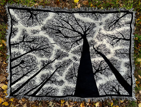 Seth Glier – Blanket