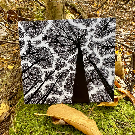 Seth Glier – Everything Digital