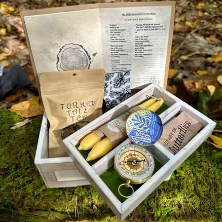 Seth Glier - Survival Kit: