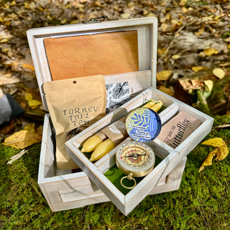 Seth Glier - Survival Kit: