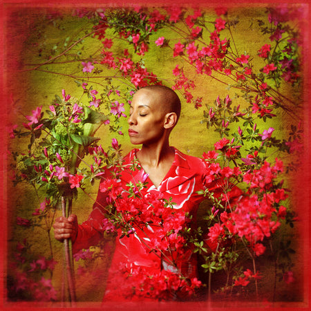 Gail Ann Dorsey - I Used To Be... (CD)
